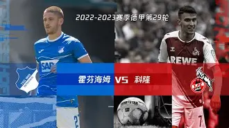 霍芬海姆近期战绩 霍芬海姆近期战绩